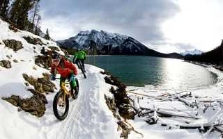 读书成长作文（15篇）