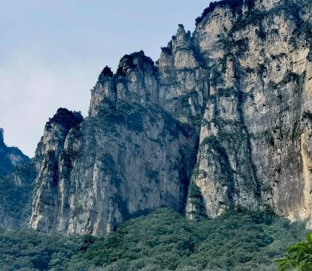 如月群真一共有多少作品