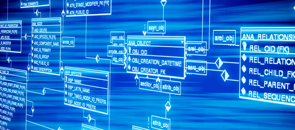 《blood c剧场版》全集在线观看